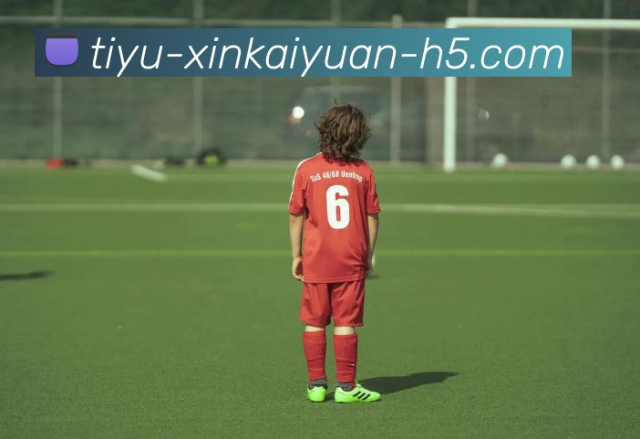 App Interface Preview