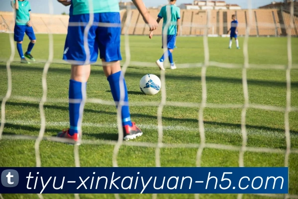 开元体育APP 封面图